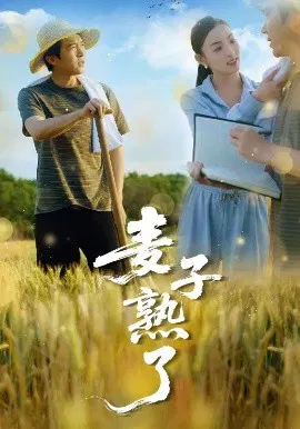 【短剧】麦子熟了