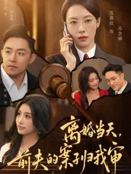 【短剧】离婚当天，前夫的案子归我审