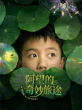 【剧情片】阿望的奇妙旅途