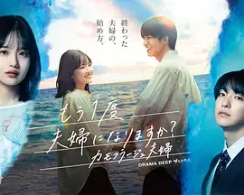 【日本剧】要再做一次夫妇吗？～伪装夫妇～