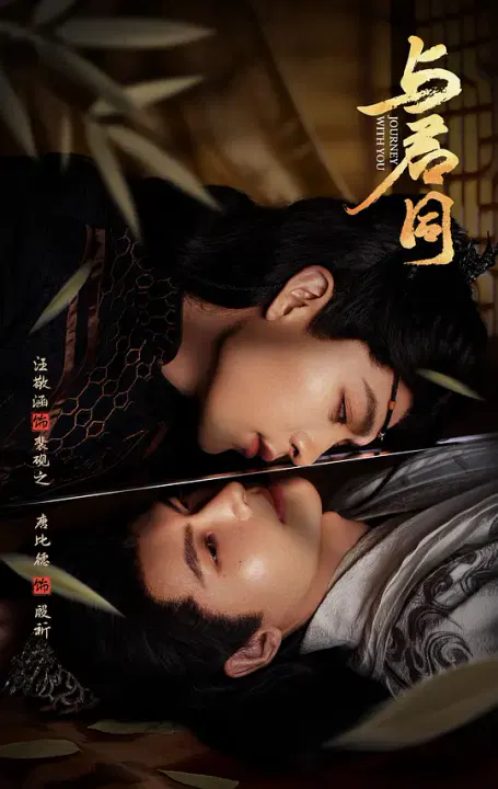 【国产剧】与君同