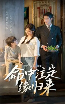 【短剧】命中注定缘归来